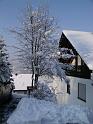 Winter 55
